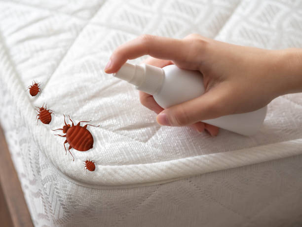 Best Indoor Pest Control  in Fort Shawnee, OH